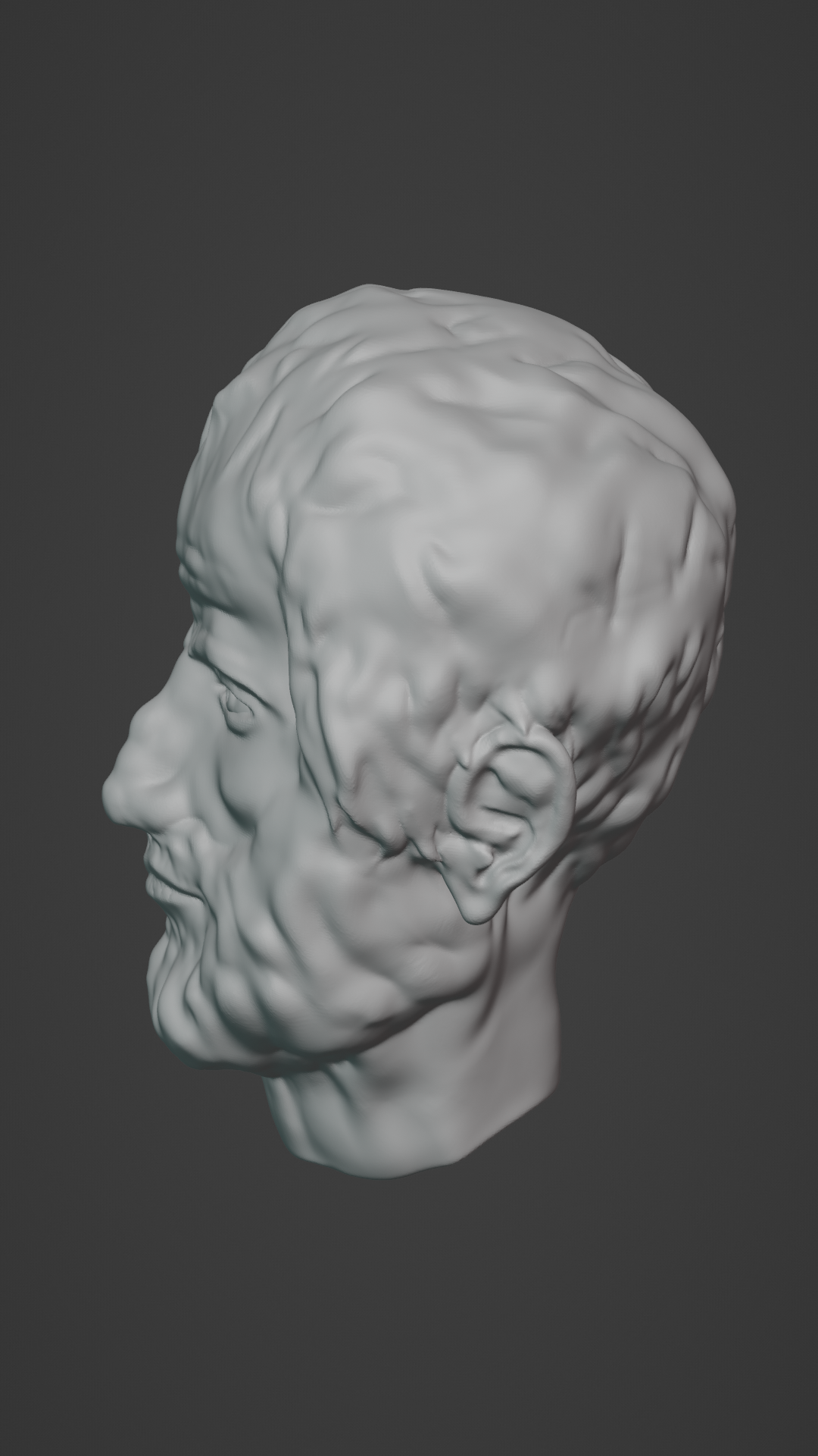 Aristoteles Realistic Head Bust by Dominik Stuchlik Download free STL