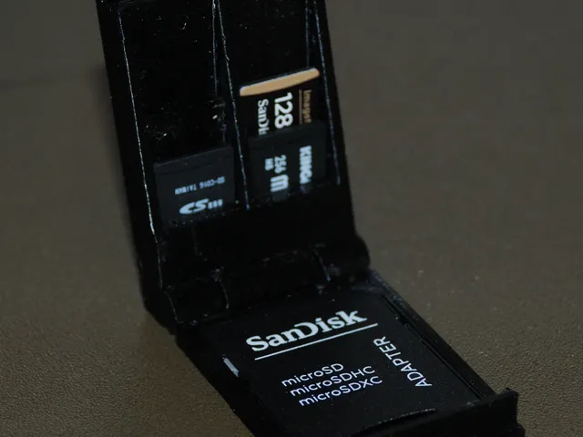 Mini microSD wallet