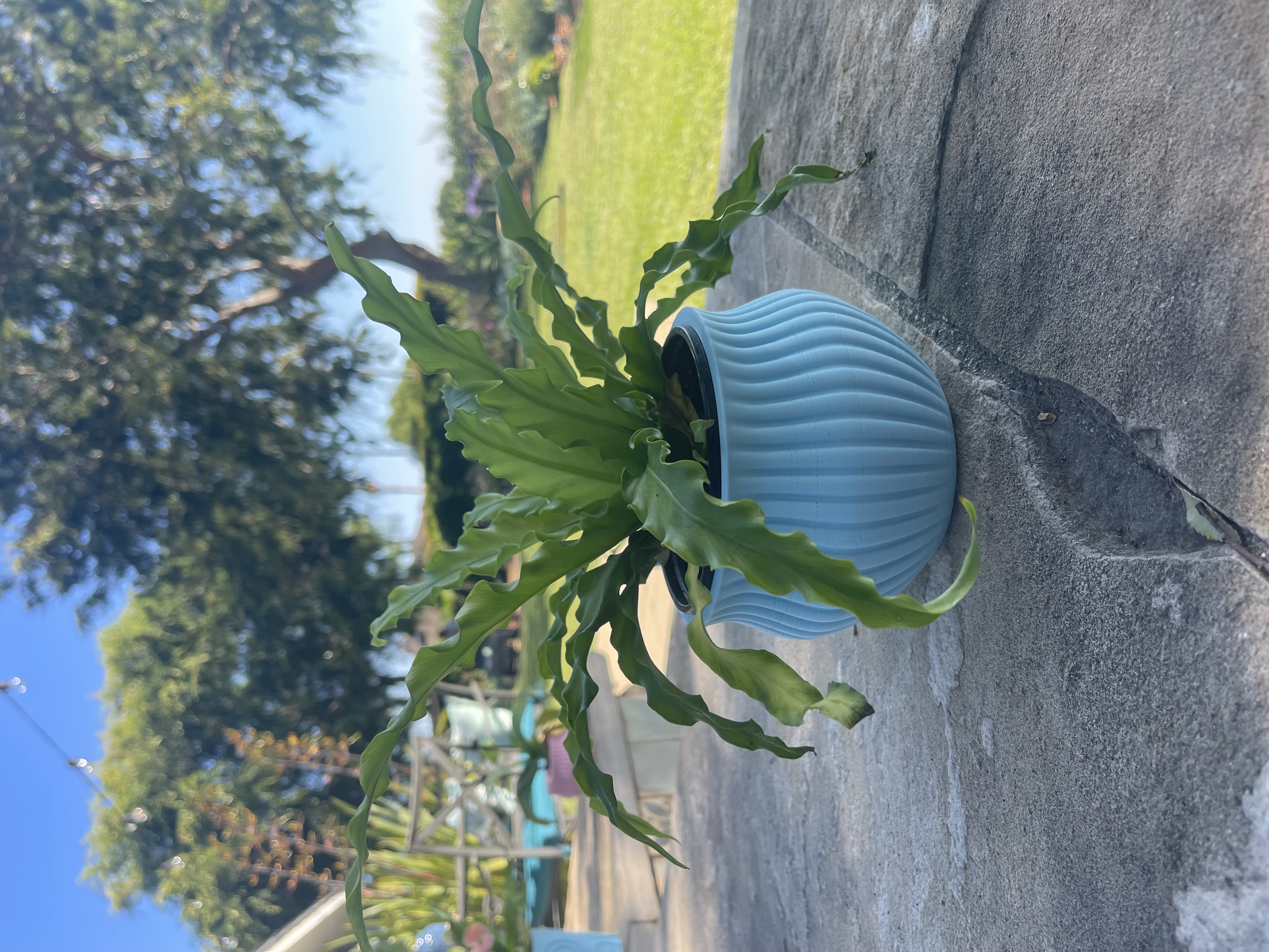 Ribbed Plant Pot