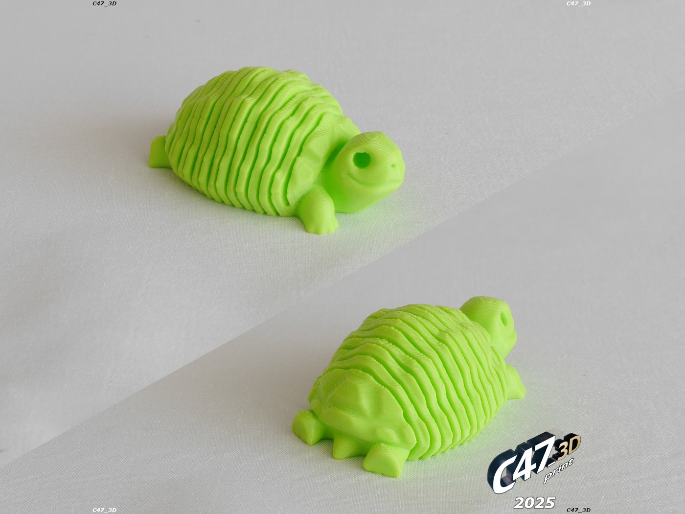 Miniatura 7 do modelo 3D Springy Tortoise