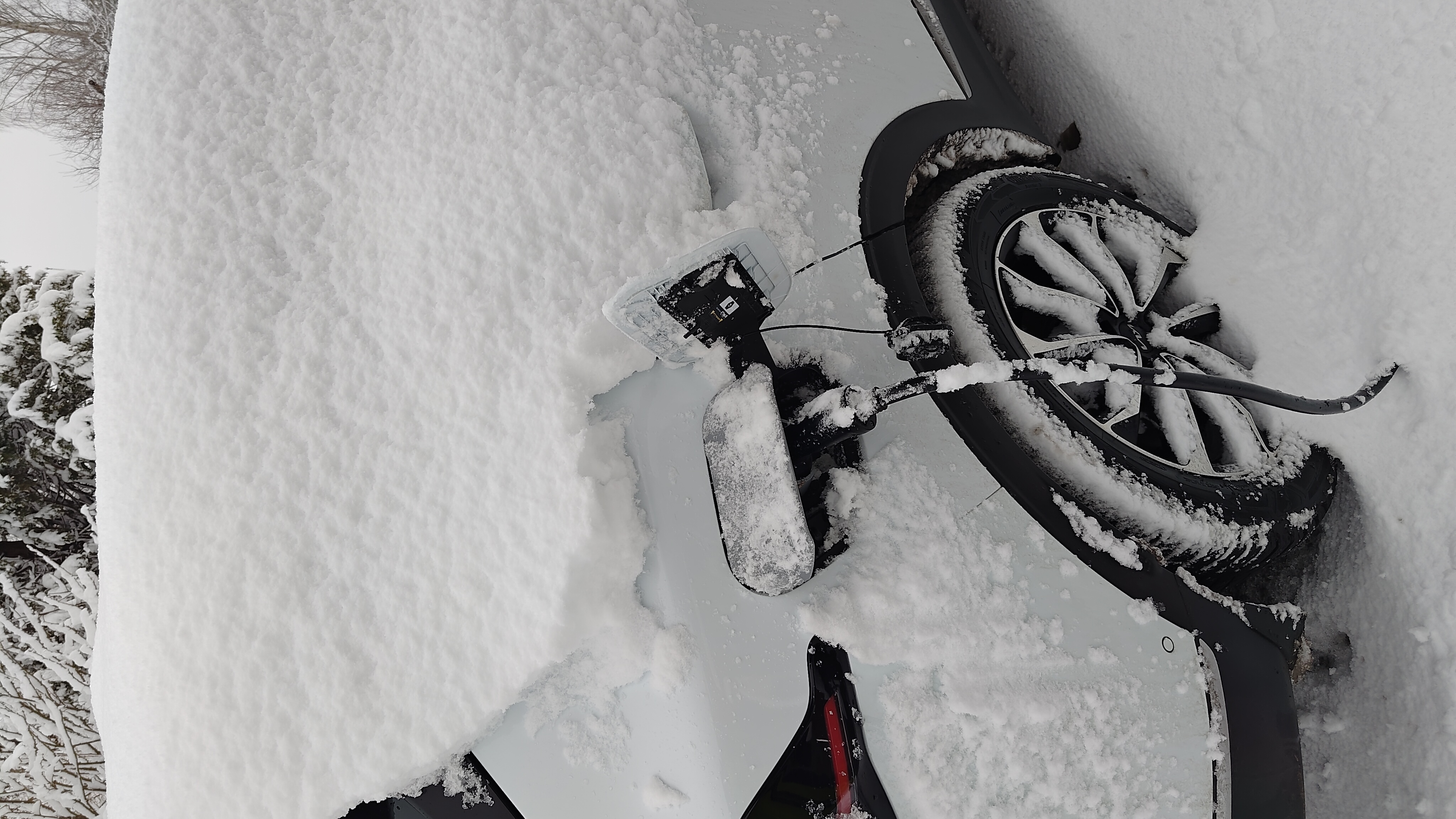 Charge port cover Kia Sportage PHEV -MY22
