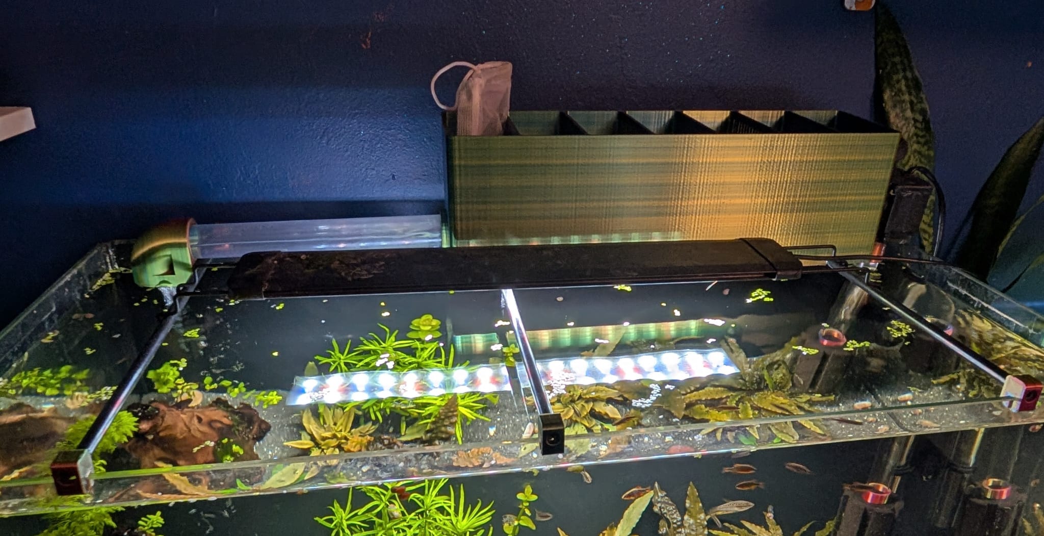 Top Tank Fish Filter