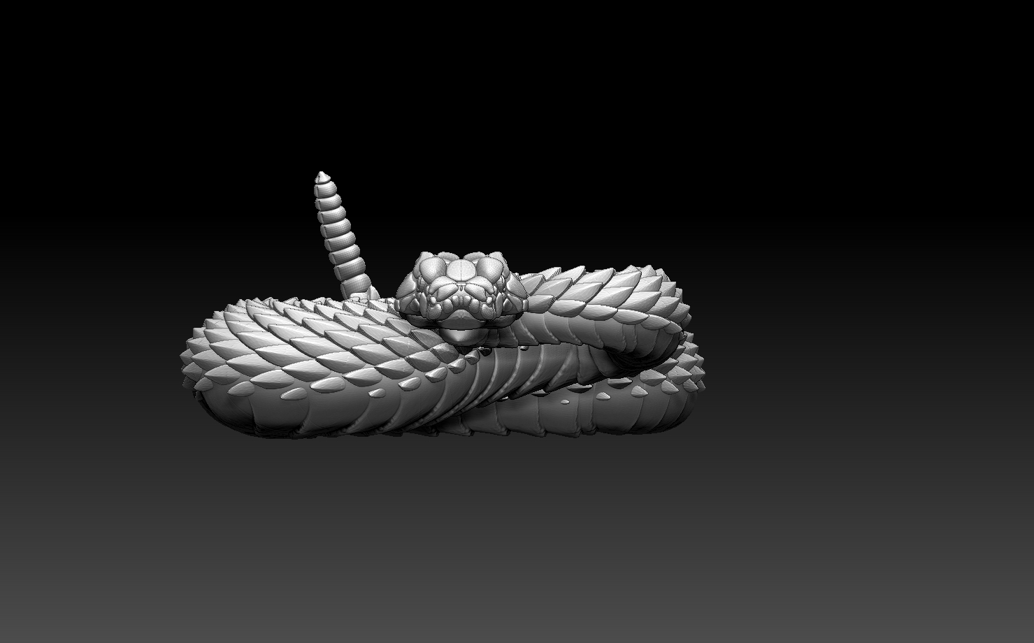 snakes — miniatura 17