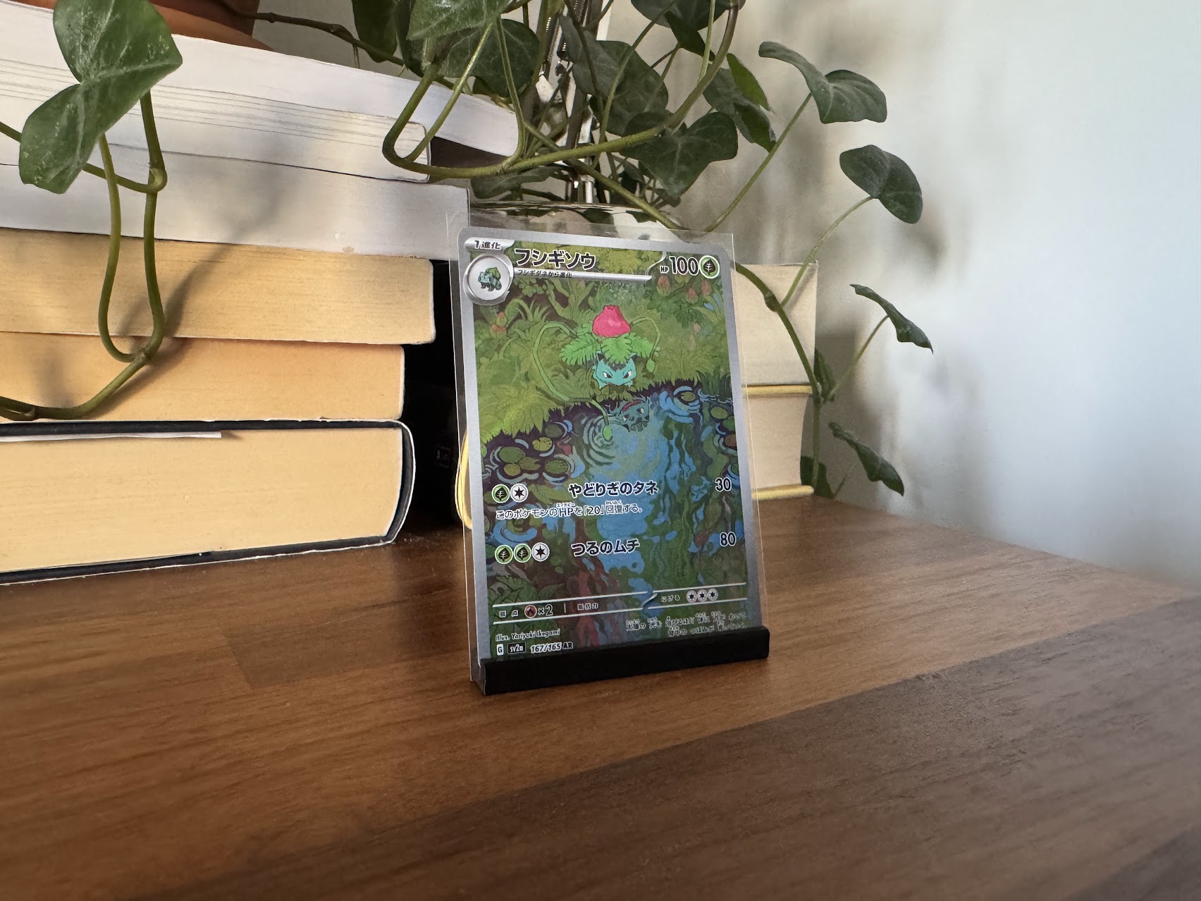 Simple Card Display - Card holder