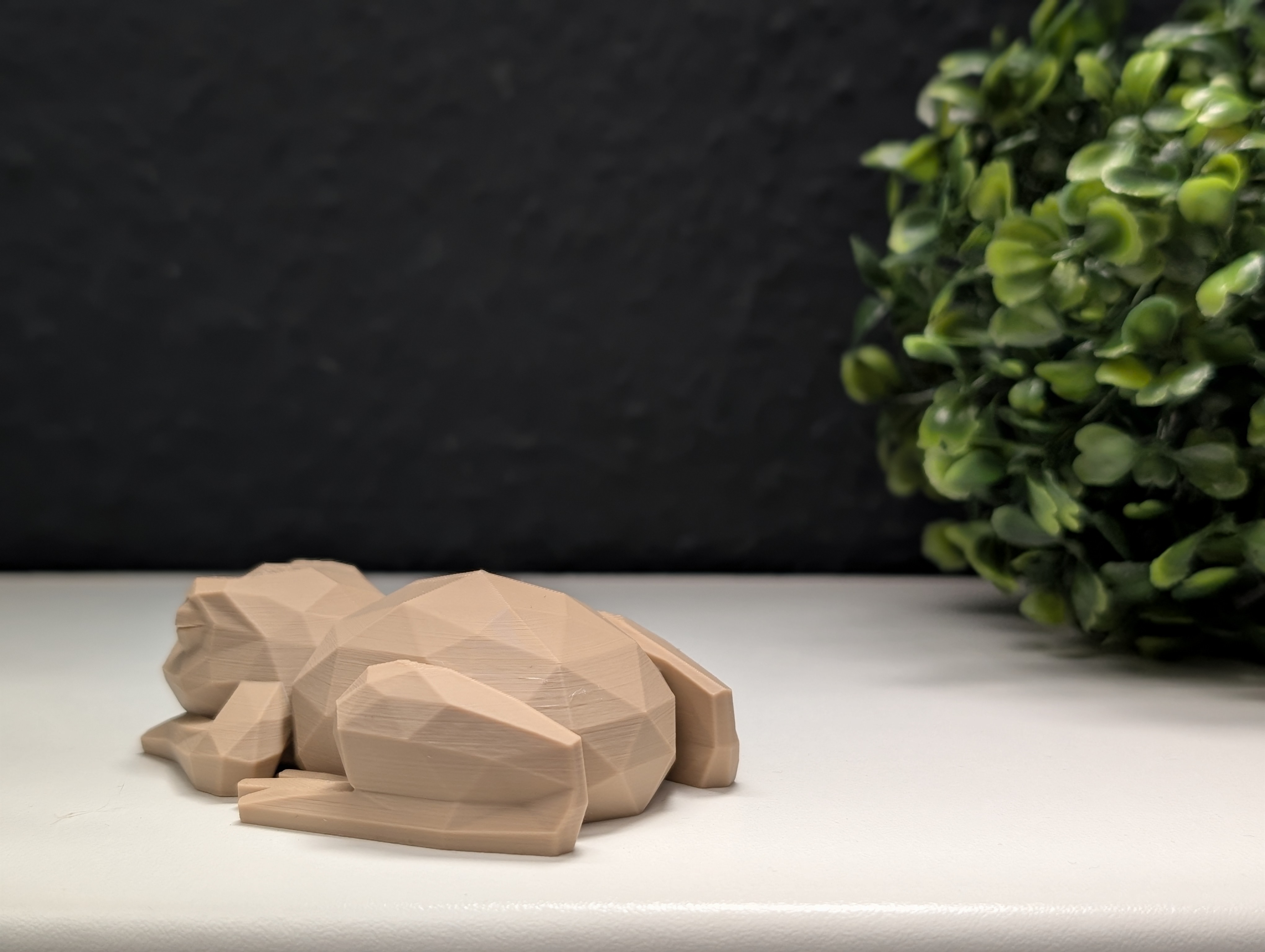 Miniatura 7 do modelo 3D Low Poly Sleeping Frog