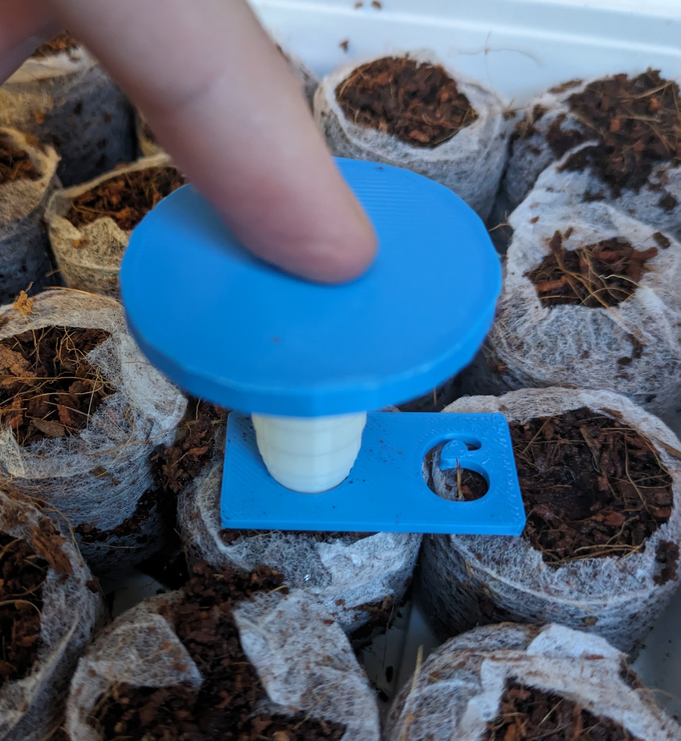 Sowing funnel / funnel for planting seeds (with depth gauge)