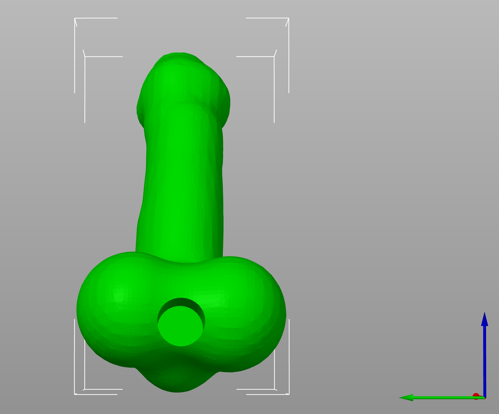 Penis or Dildo