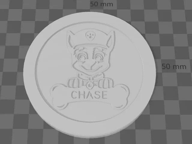 Paw Patrol Coaster Set