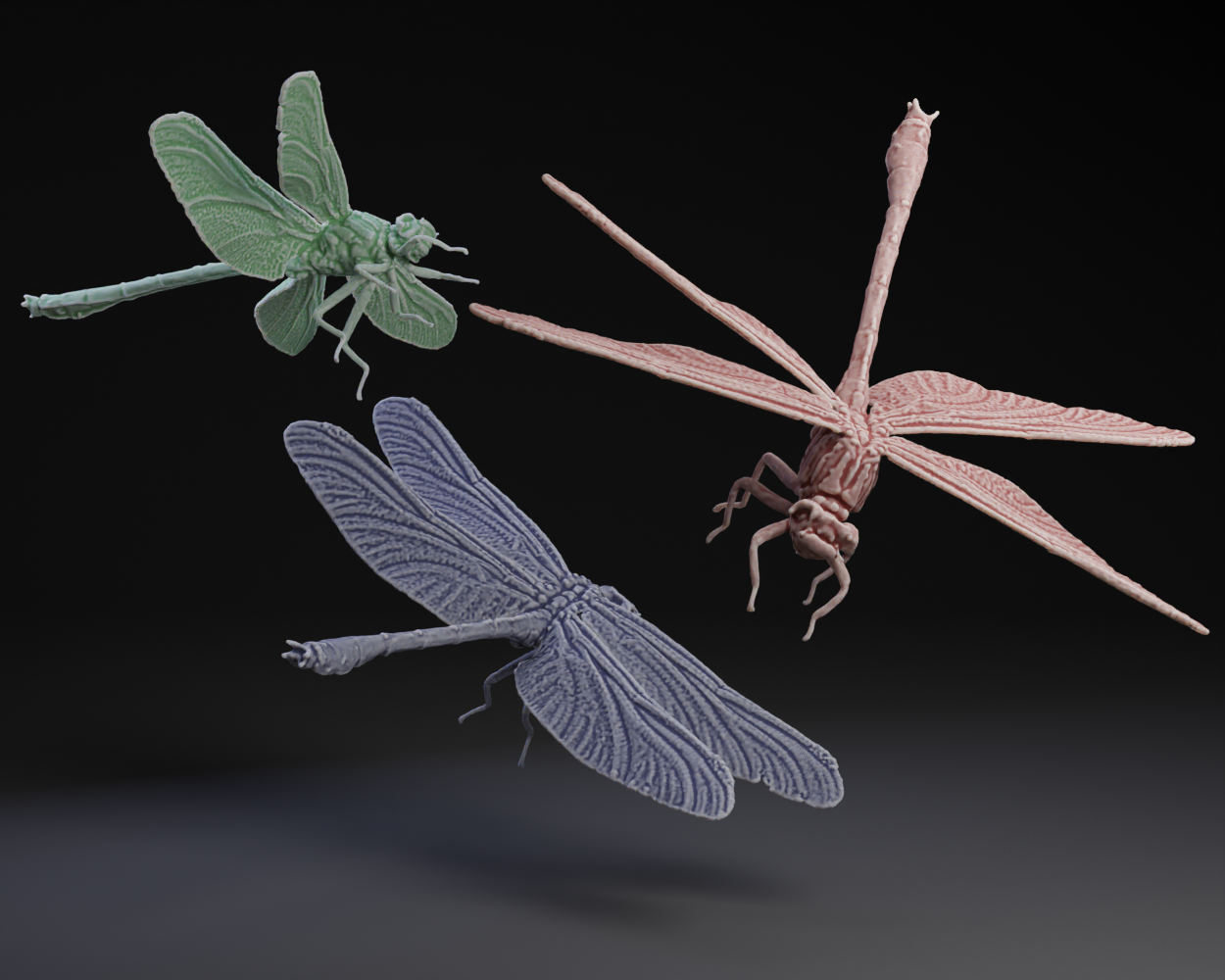 ClubTail Dragonfly