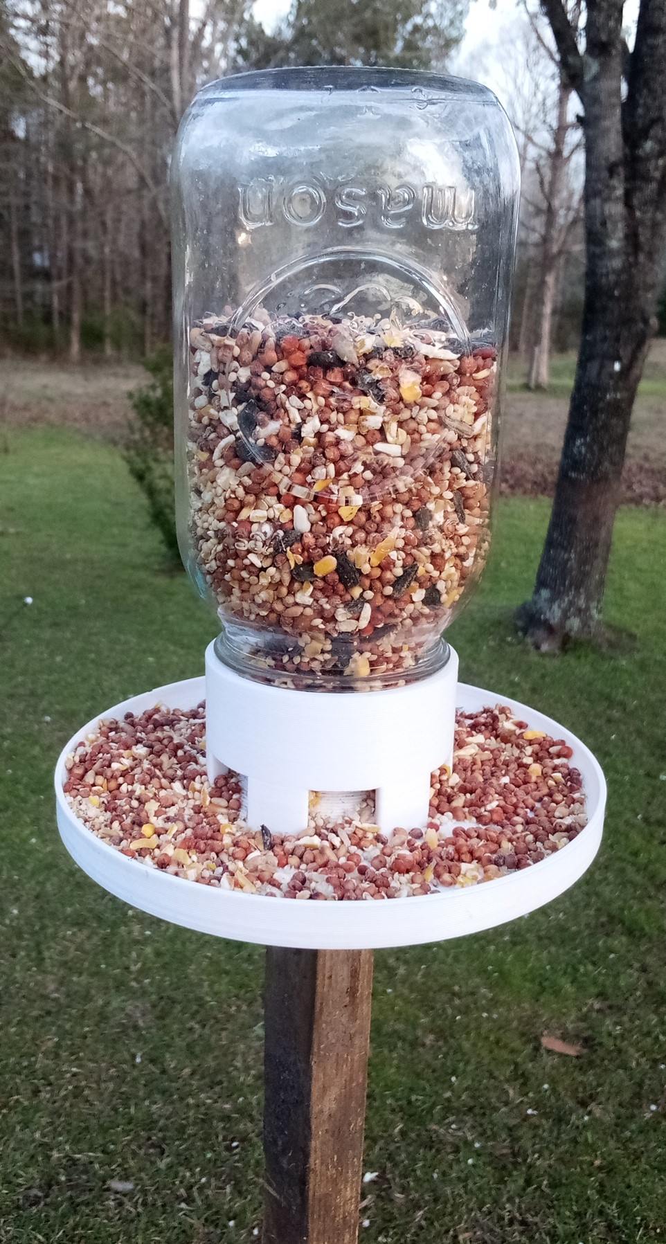 Glass Mason Jar Bird Feeder. No supports needed