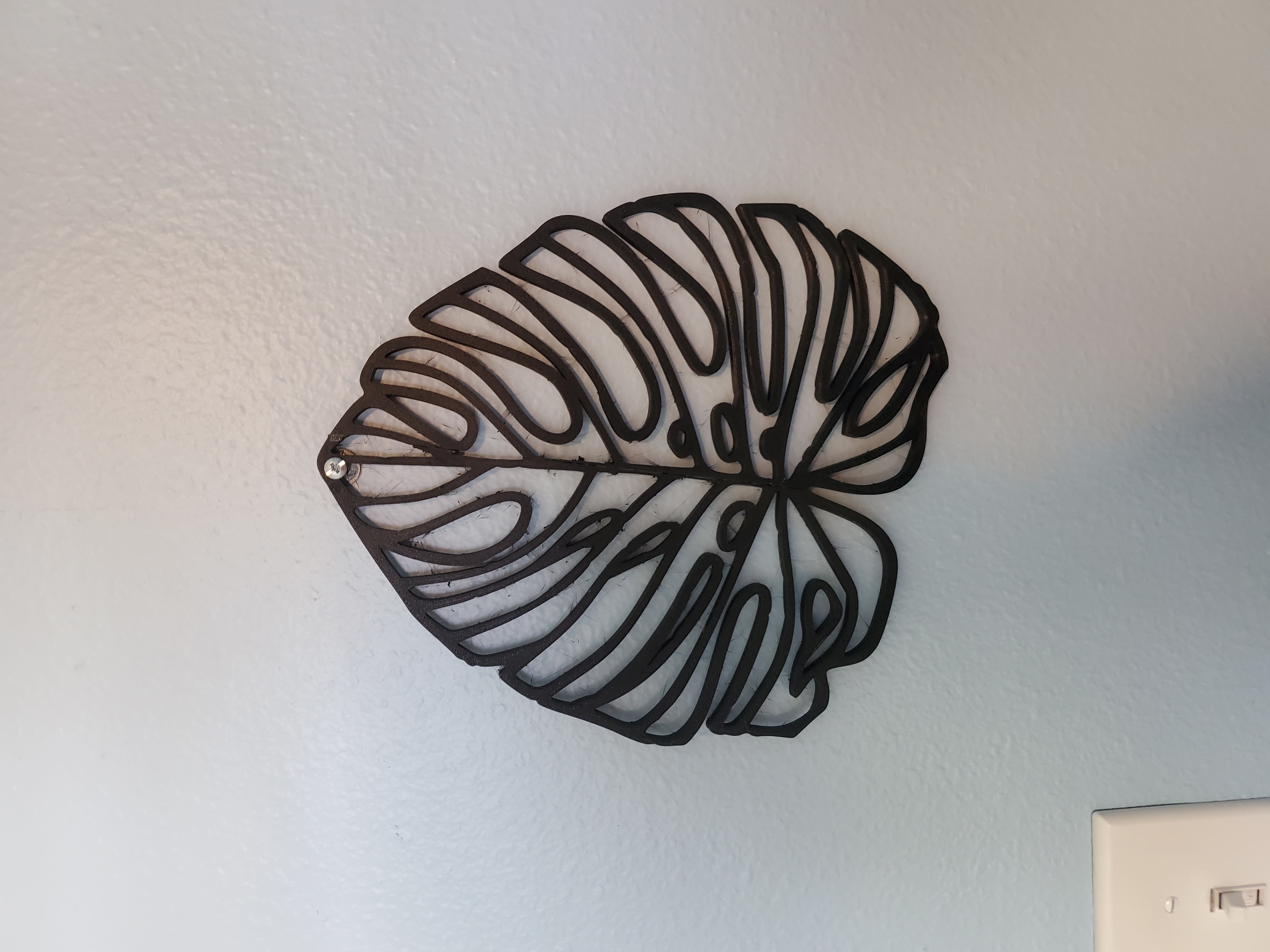 Monstera Leaf Silhouette