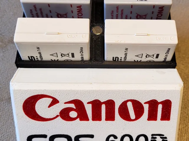 Case for 4x Canon LP-E8 Battery
