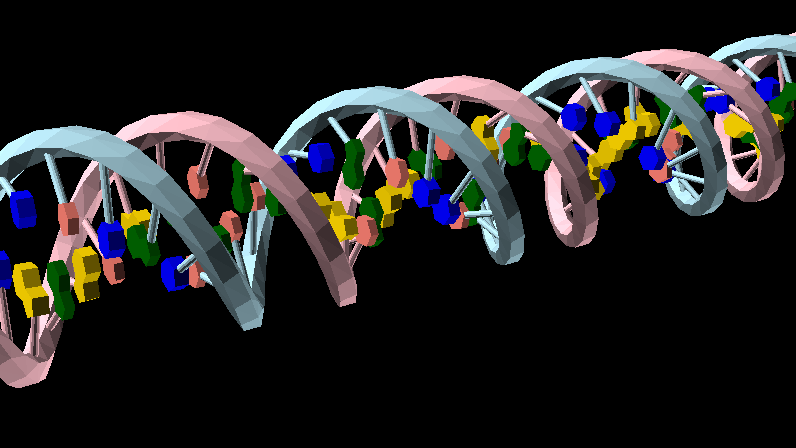 Miniatura 13 do modelo 3D DNA Model