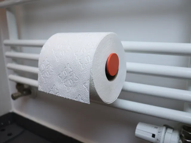 Toilet Paper Holder for Heating Ladder