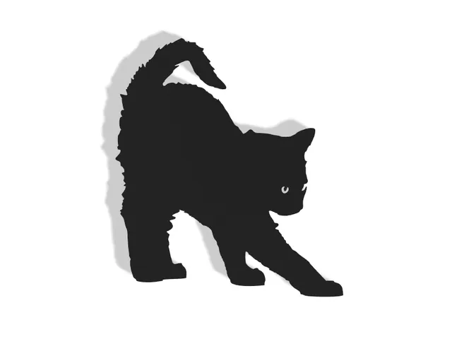 Cat Decor