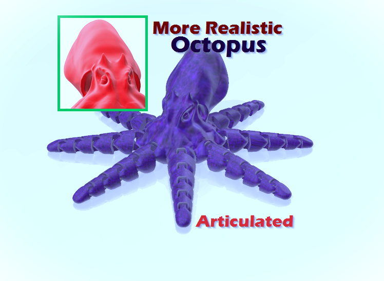 Realistic Octopus