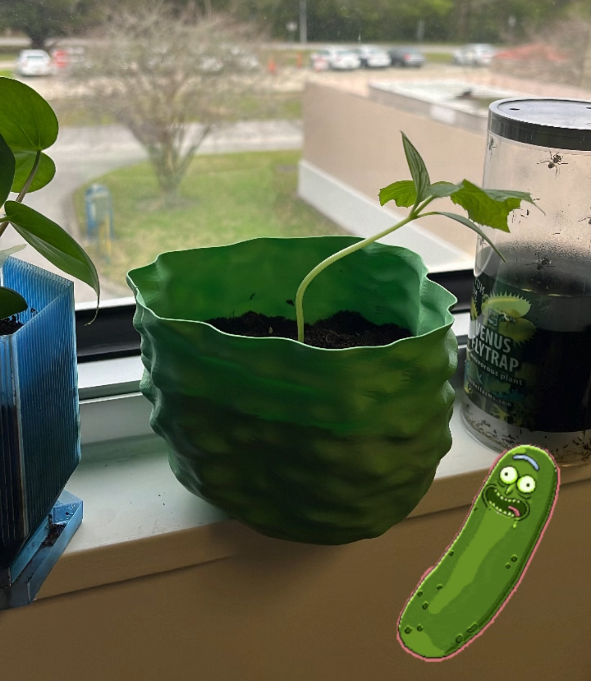 Vase Mode Pickle Pot for Cucumbers