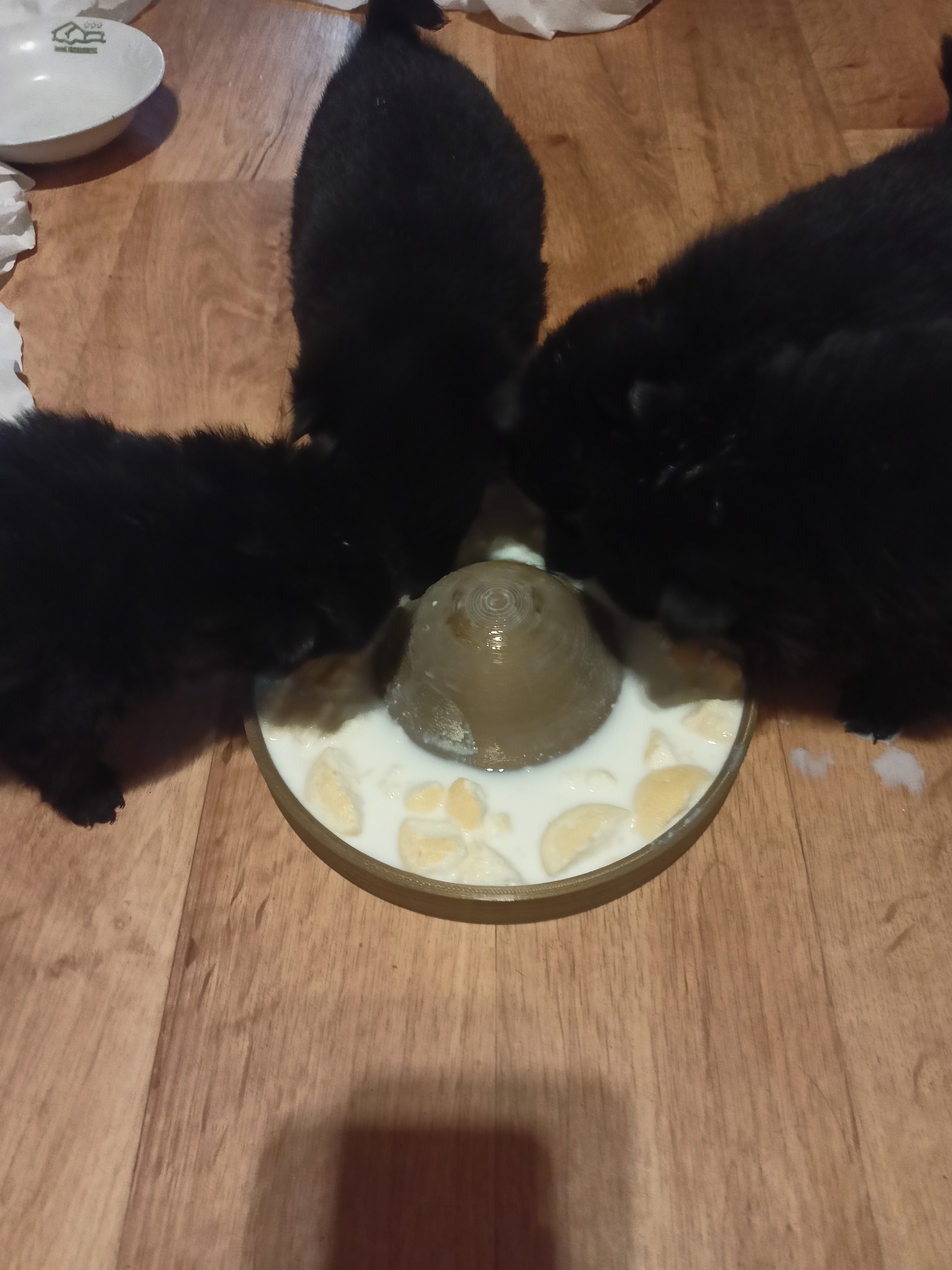 Puppy bowl 200 mm