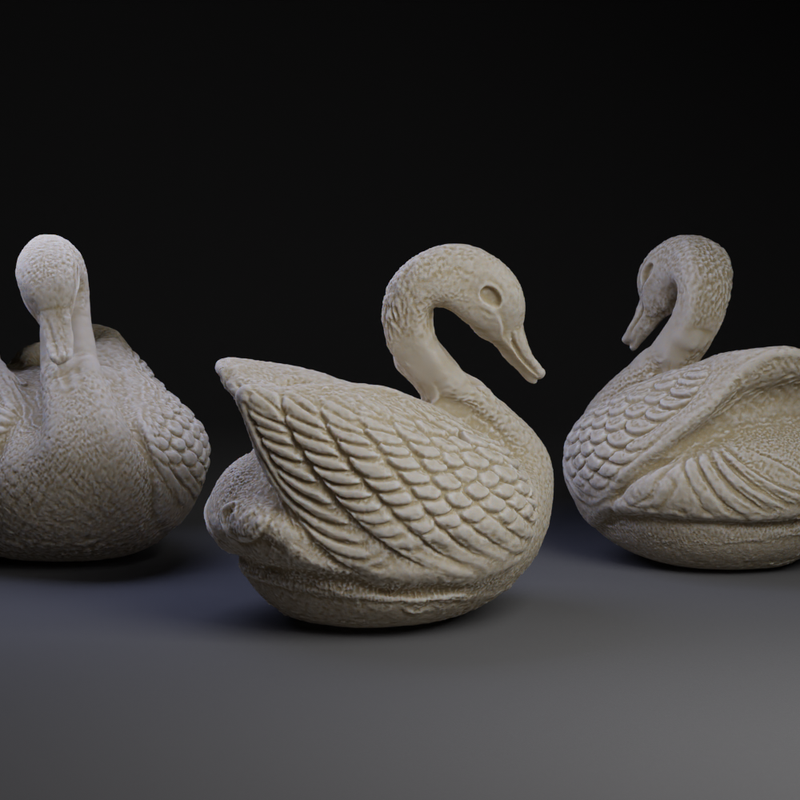 swan.png
