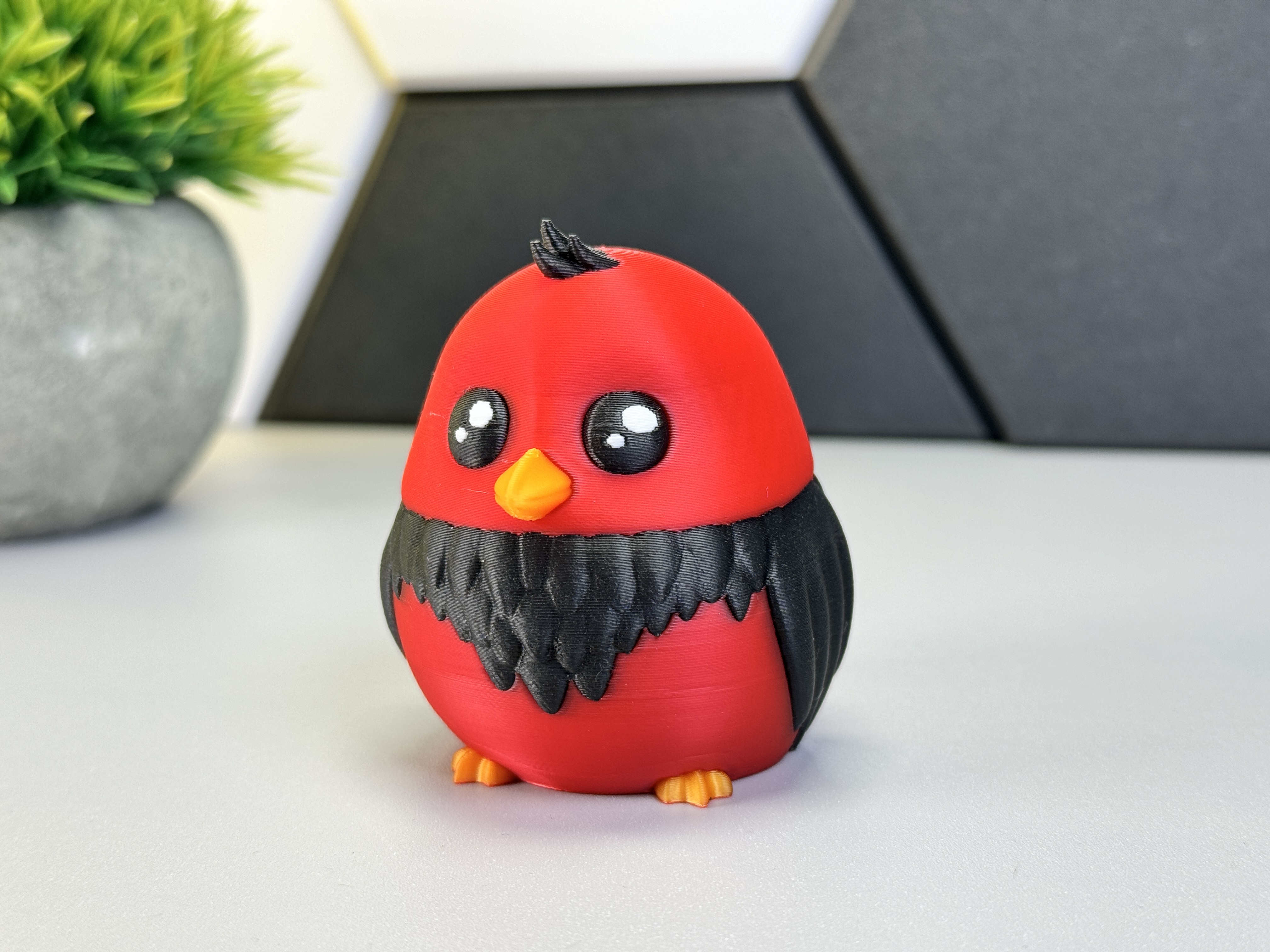 Cute Bird