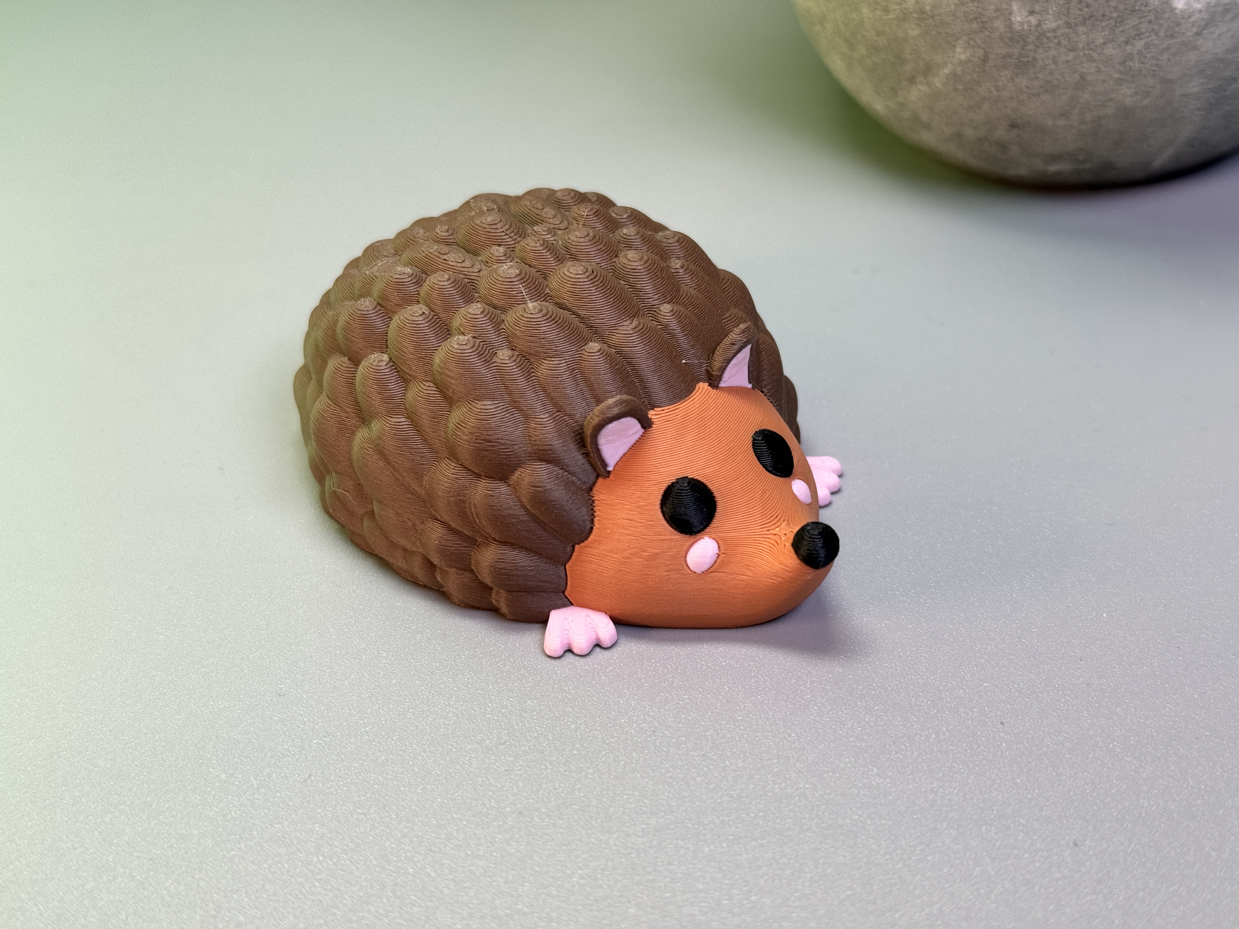 Cute Hedgehog