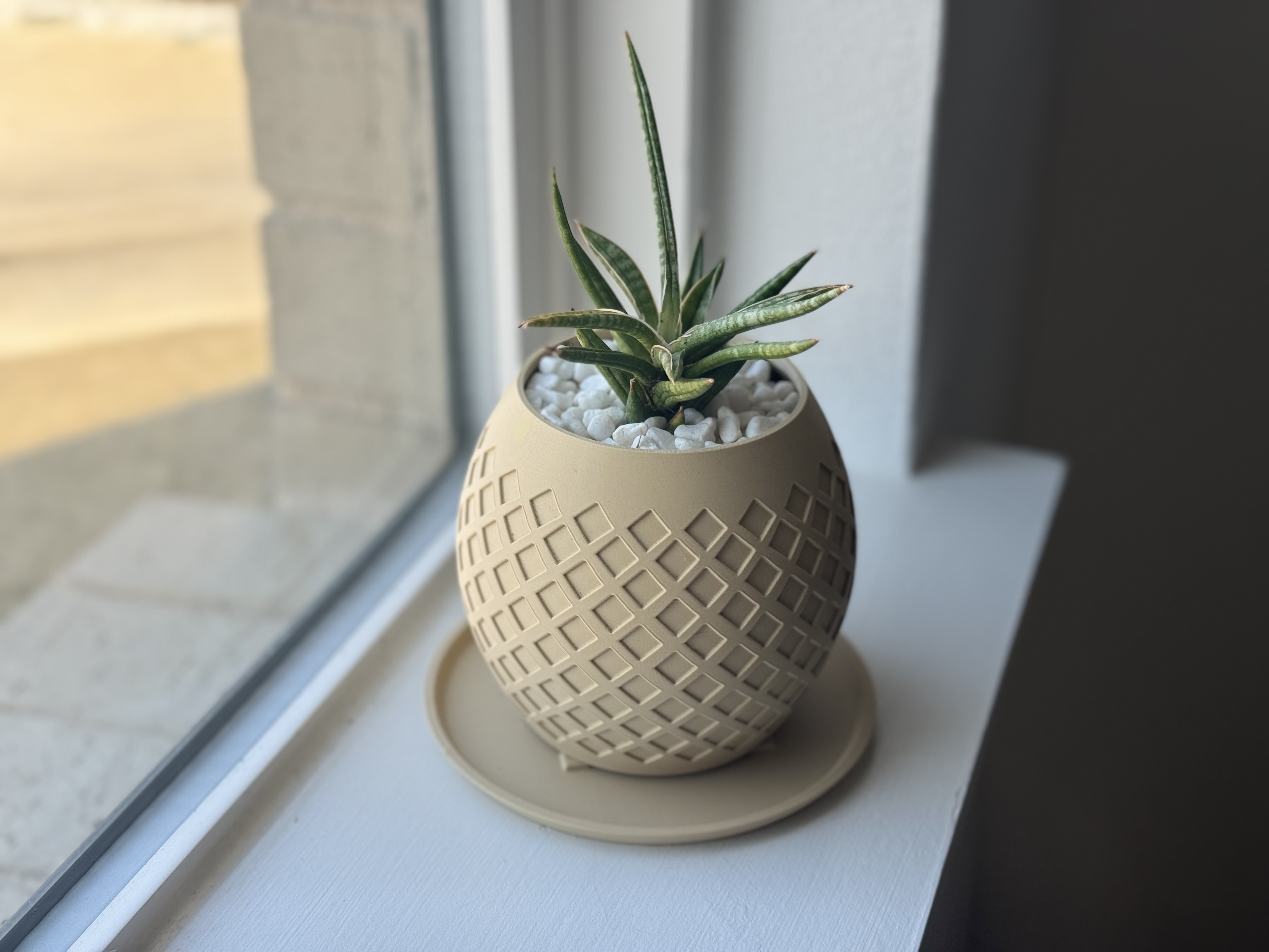 Succulent pot with diamond pattern