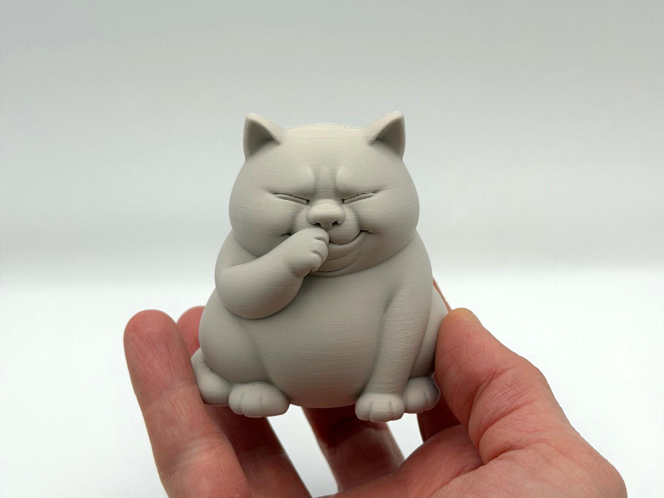Smelly Chonk Cat