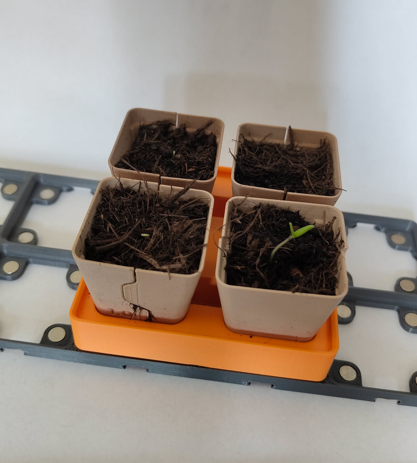 Gridfinity Compatible Splitting Germination Pots — miniatura 7