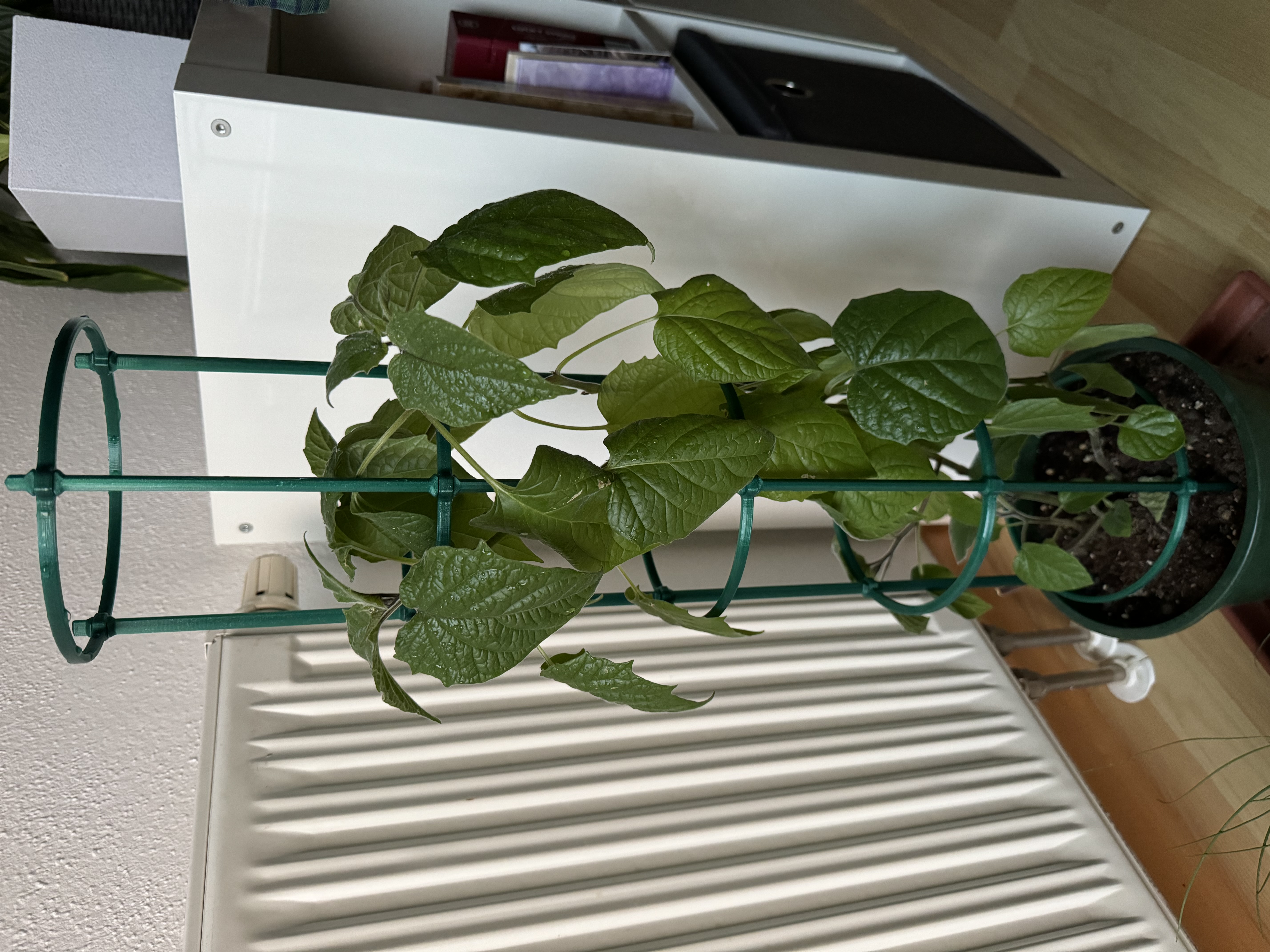 Stackable Modular Plant Support / fully configurable