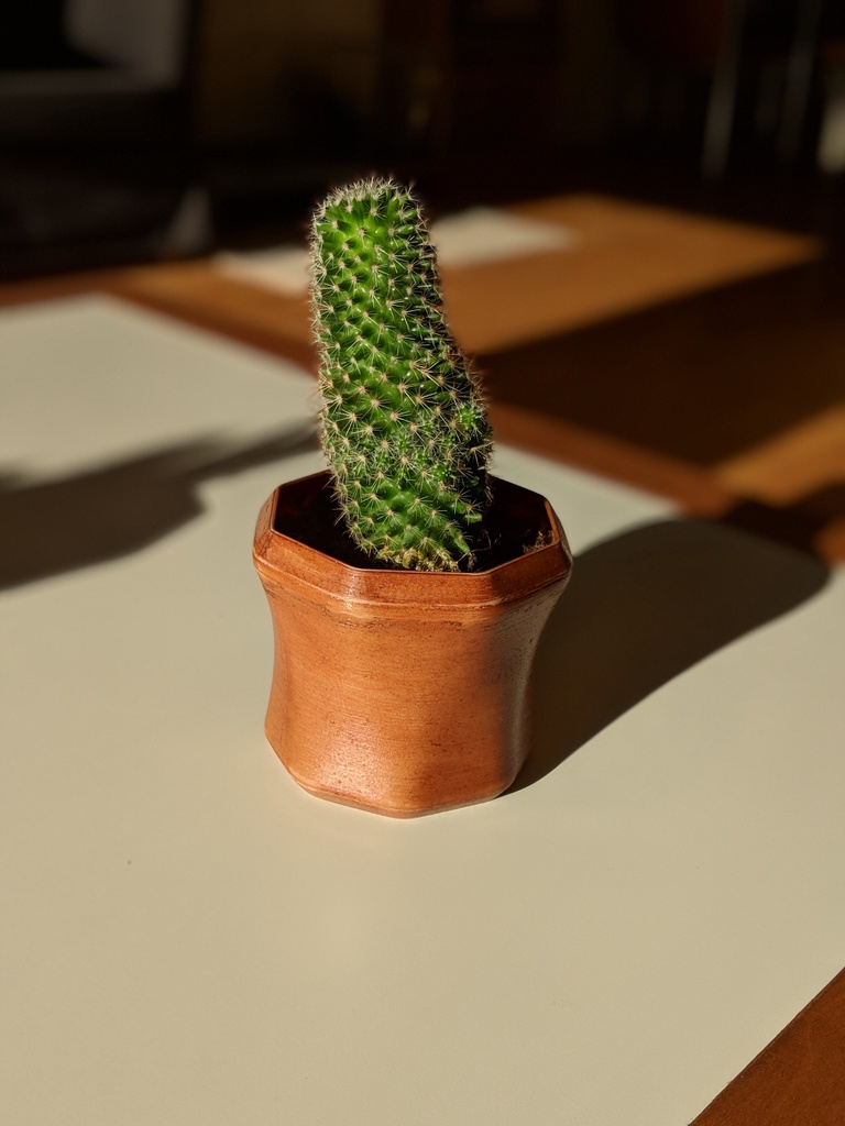 Miniatura 2 do modelo 3D Simple Planter