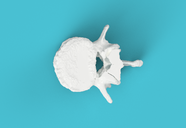 Vertebra by Sirine | Download free STL model | Printables.com