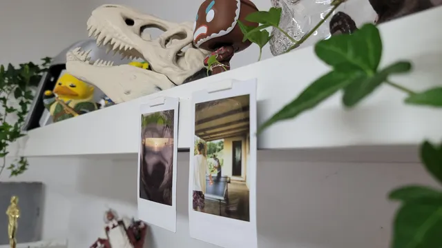 Polaroid French Cleat System