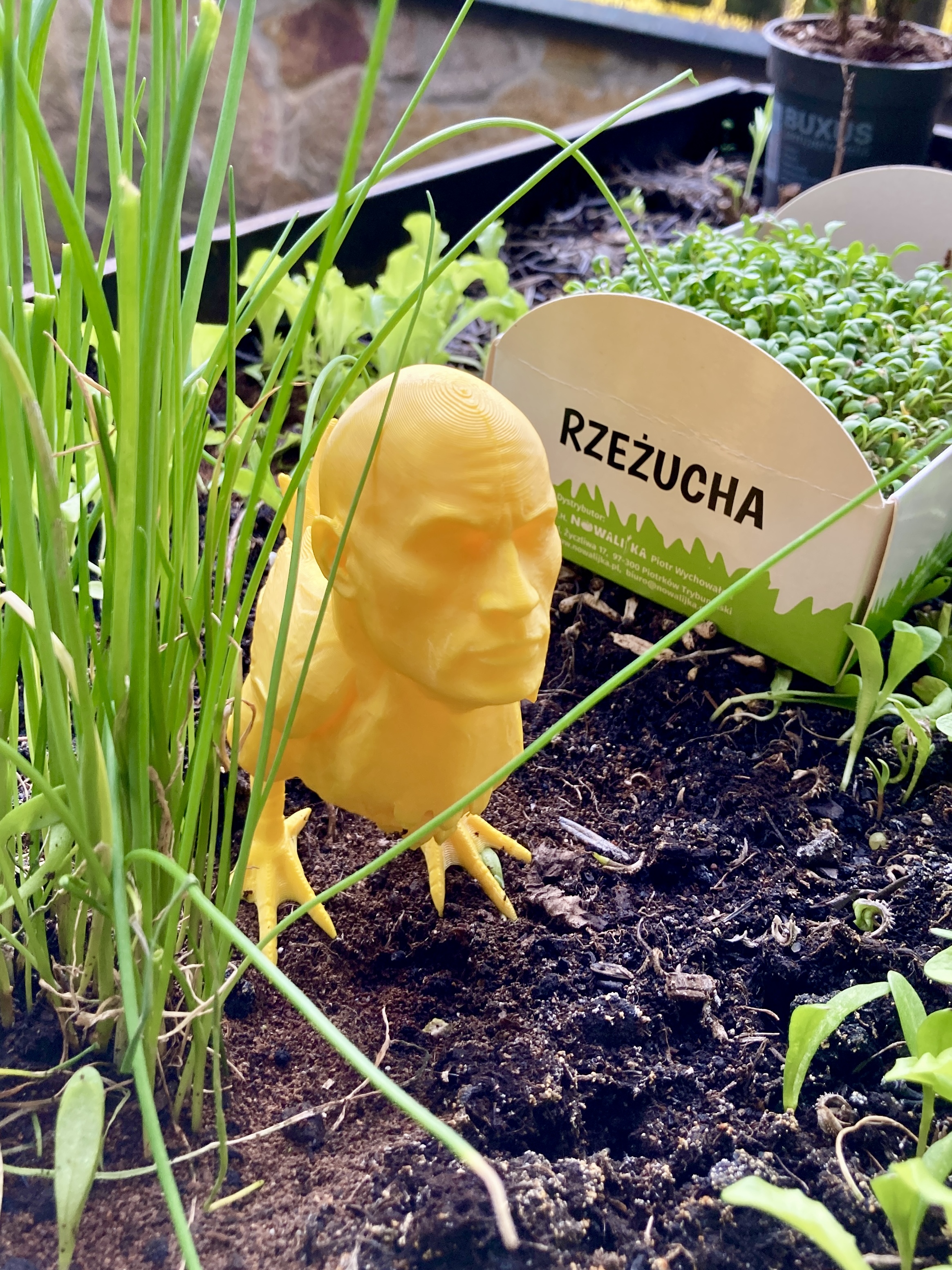 Miniatura 2 do modelo 3D The Rock Chicken