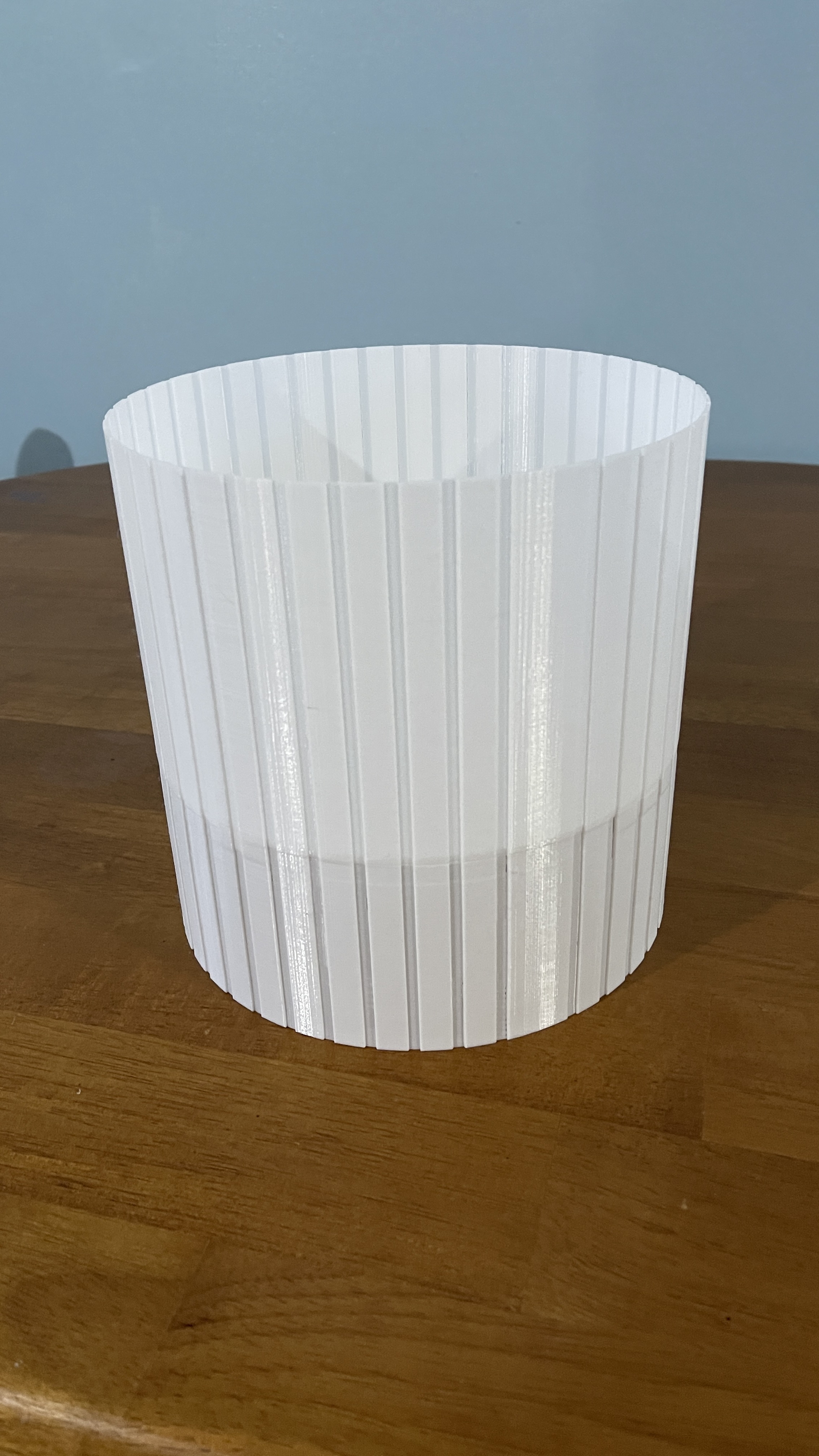 Ceiling Fan Shade