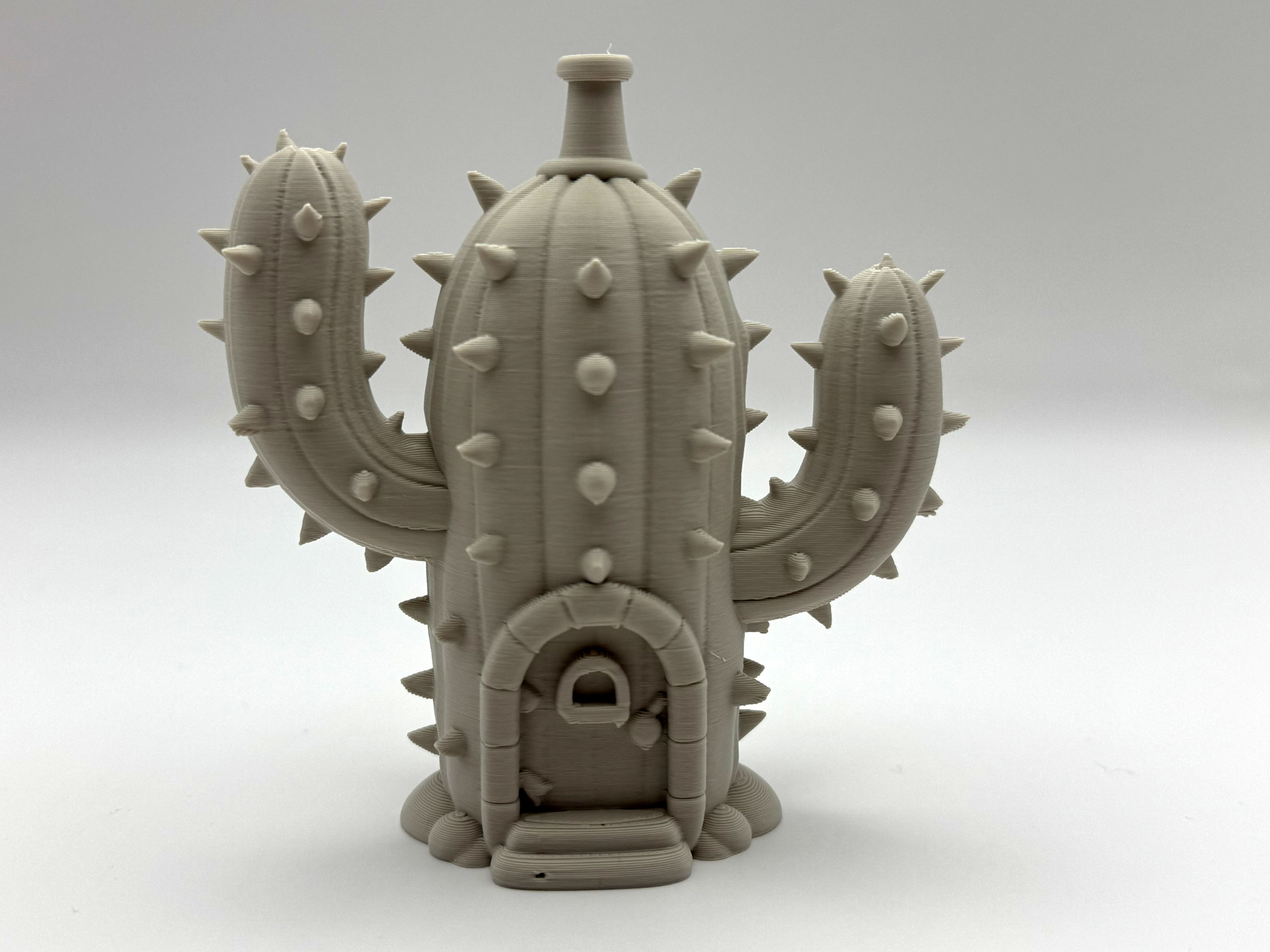 Cactus Fairy House