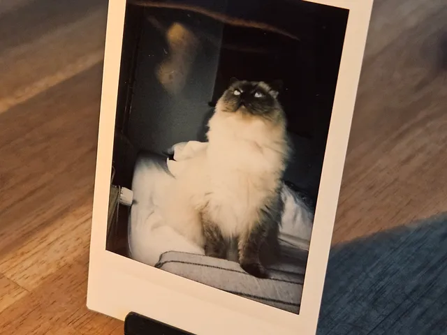 Instax mini Holder