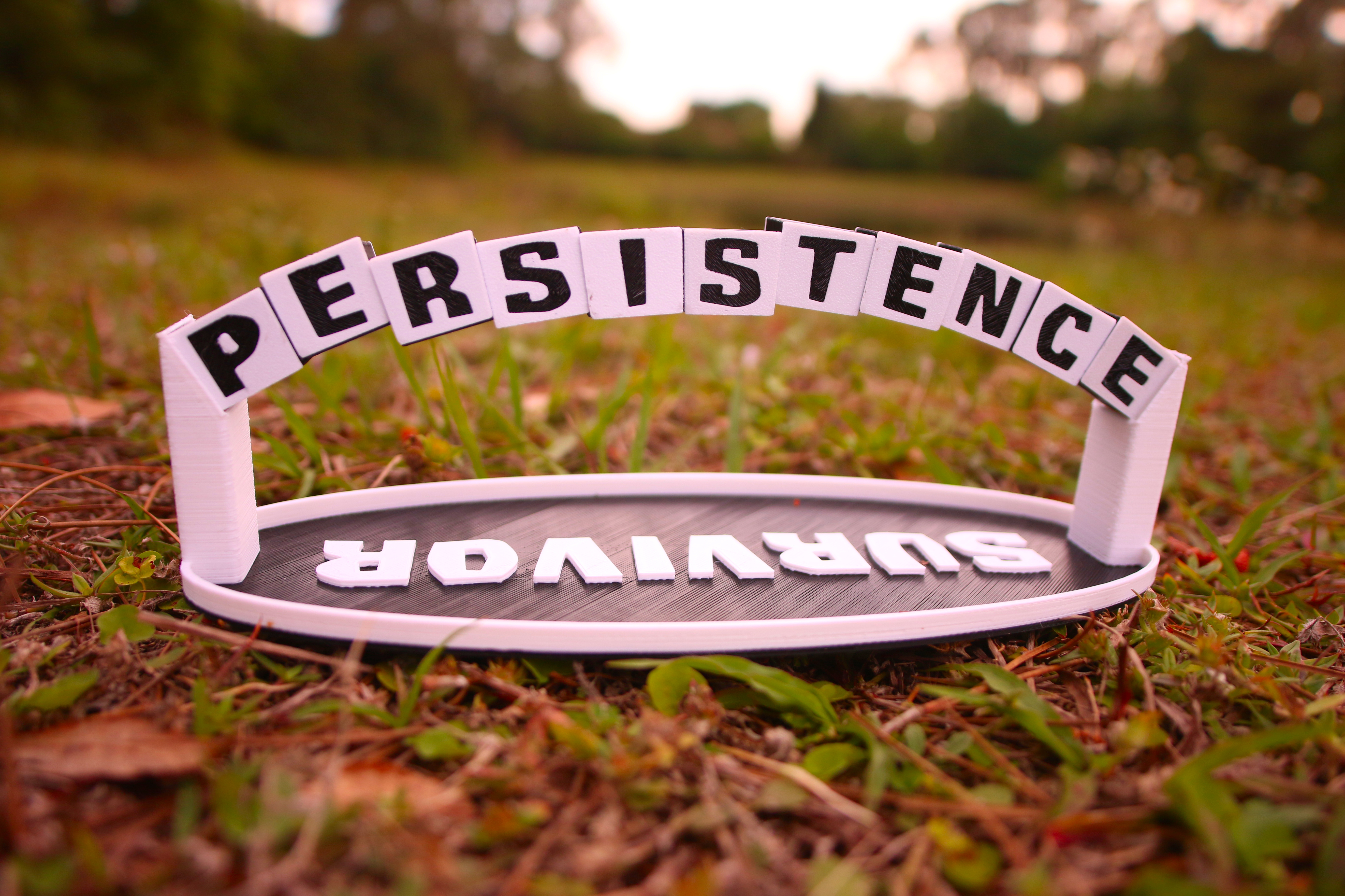 Survivor PERSISTENCE Arch Puzzle