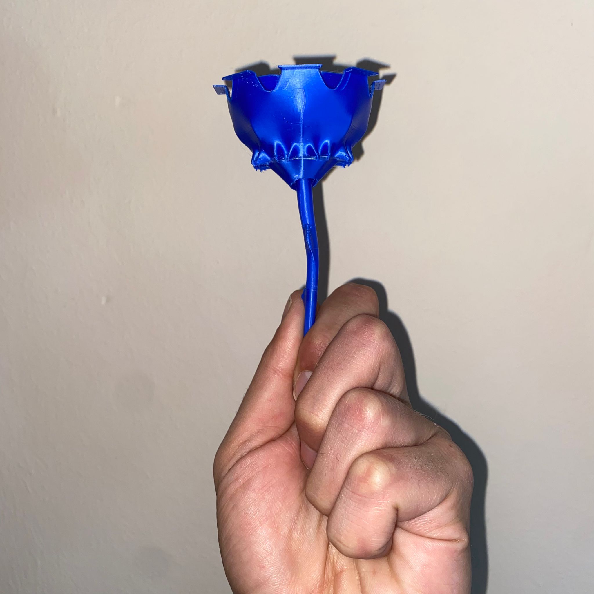 Rose M