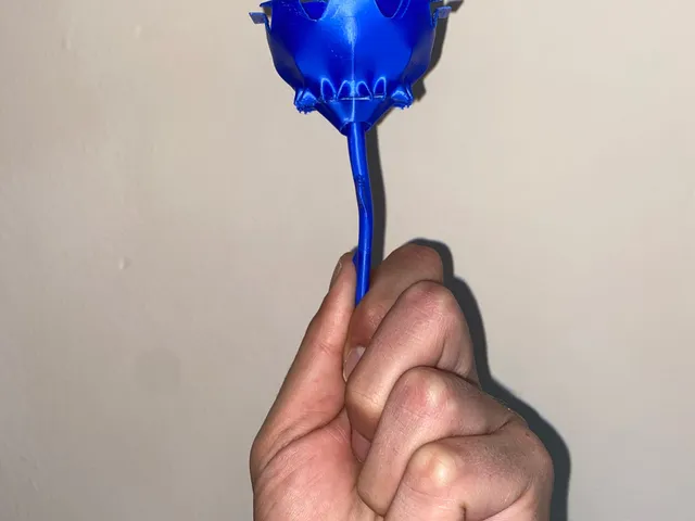 Rose M
