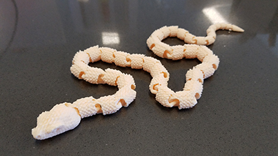 Snake with Scales version2