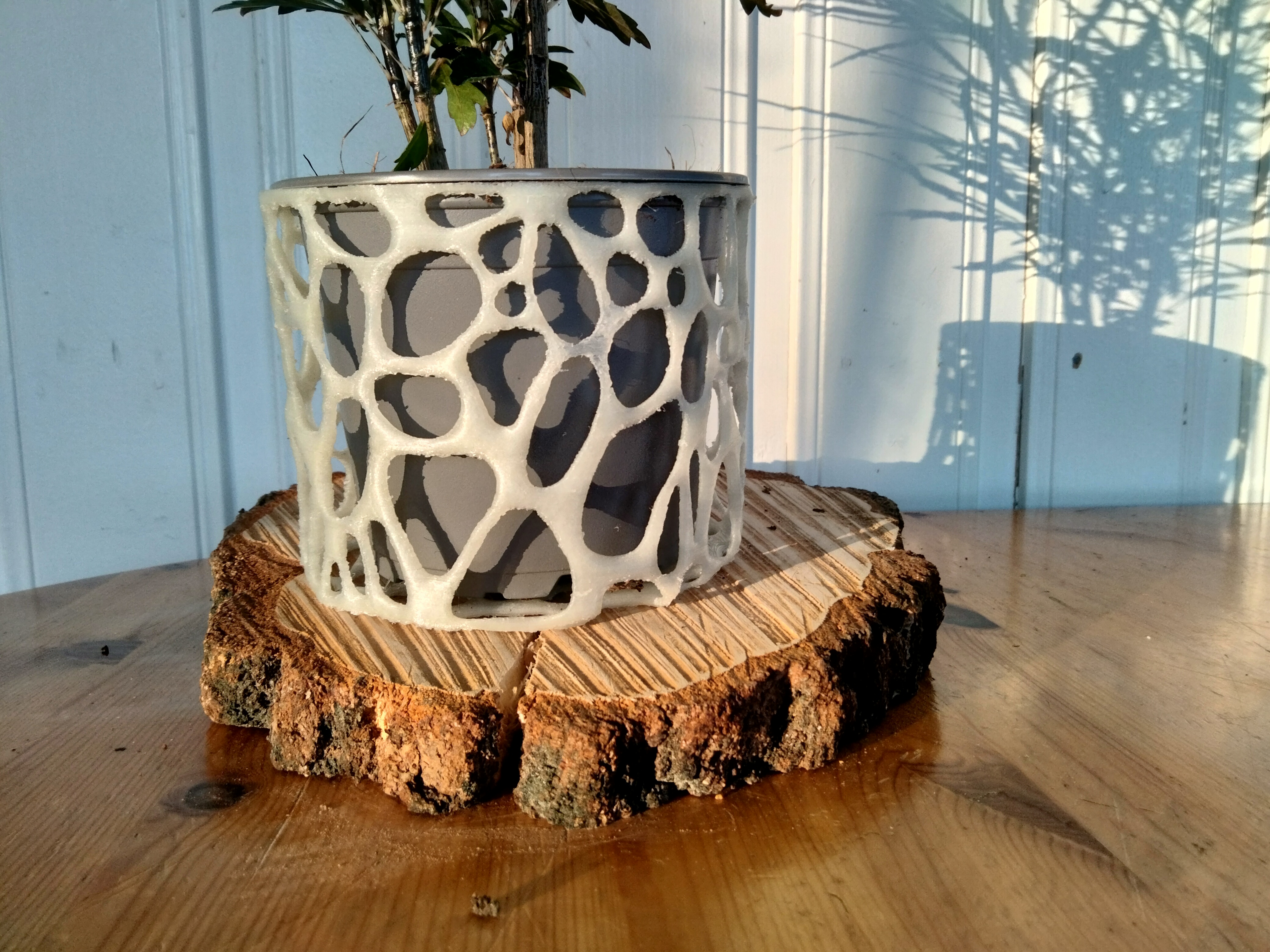 Miniatura 4 do modelo 3D Basic Voronoi Plant Pot