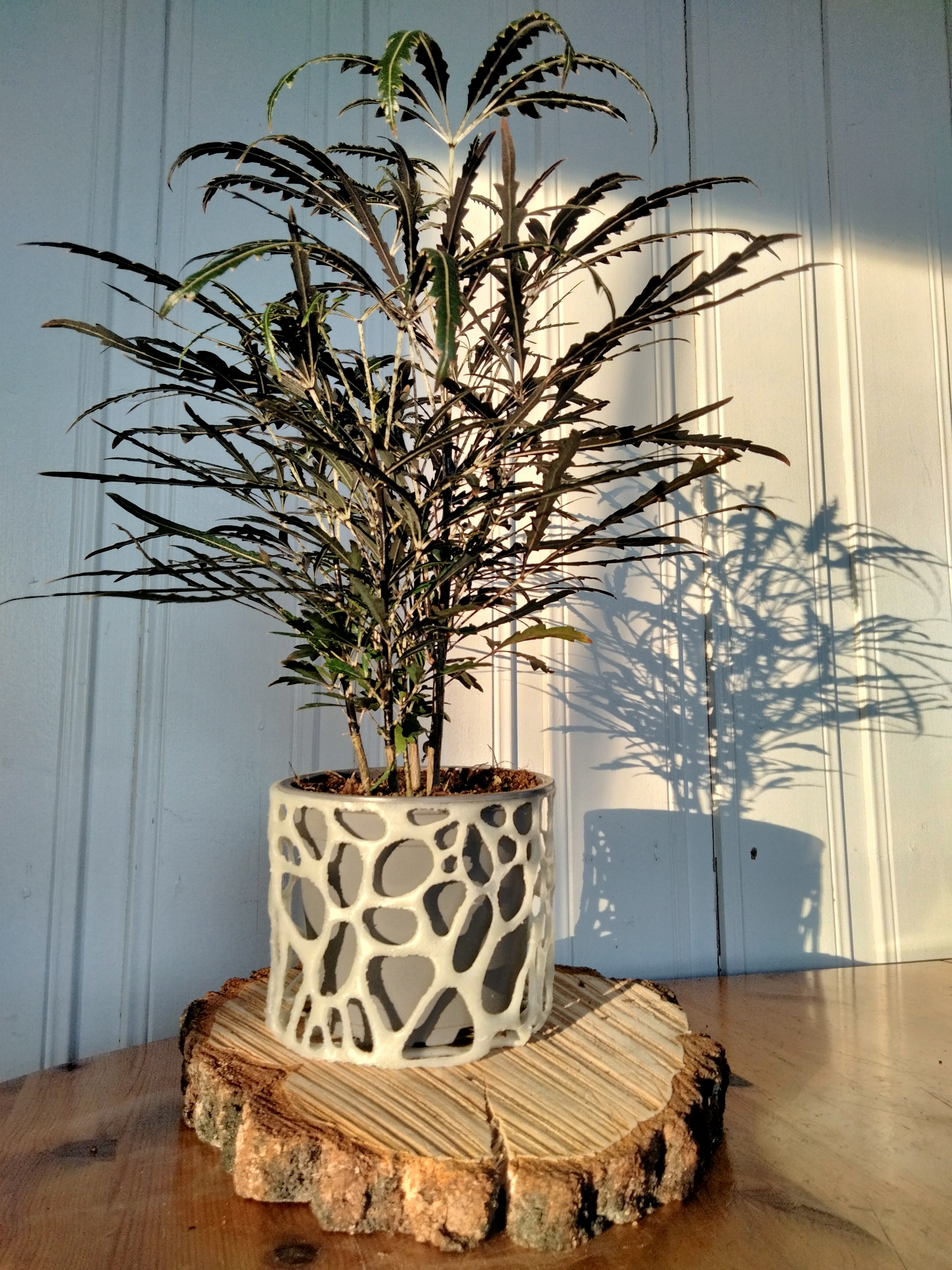 Miniatura 2 do modelo 3D Basic Voronoi Plant Pot