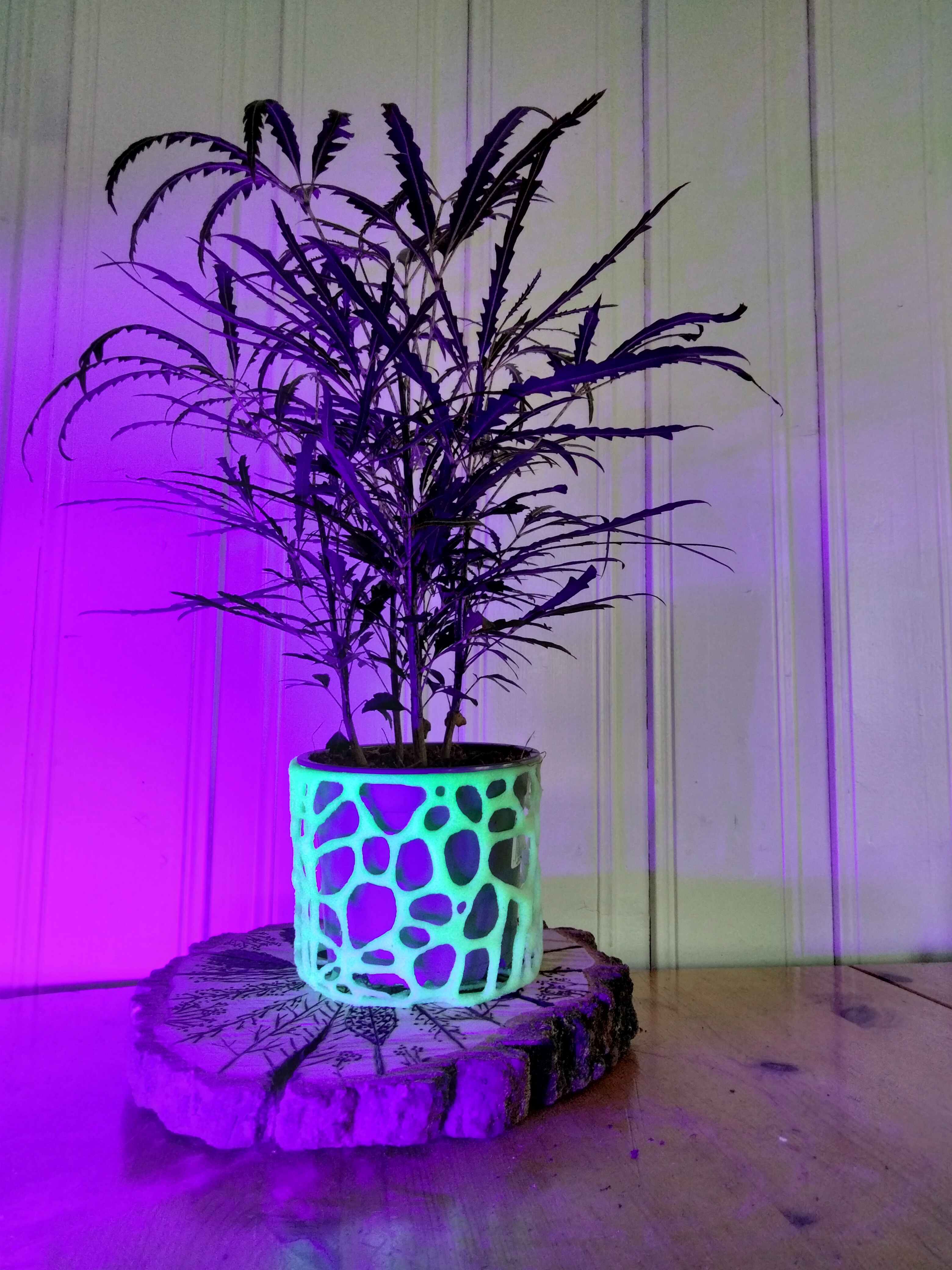 Basic Voronoi Plant Pot