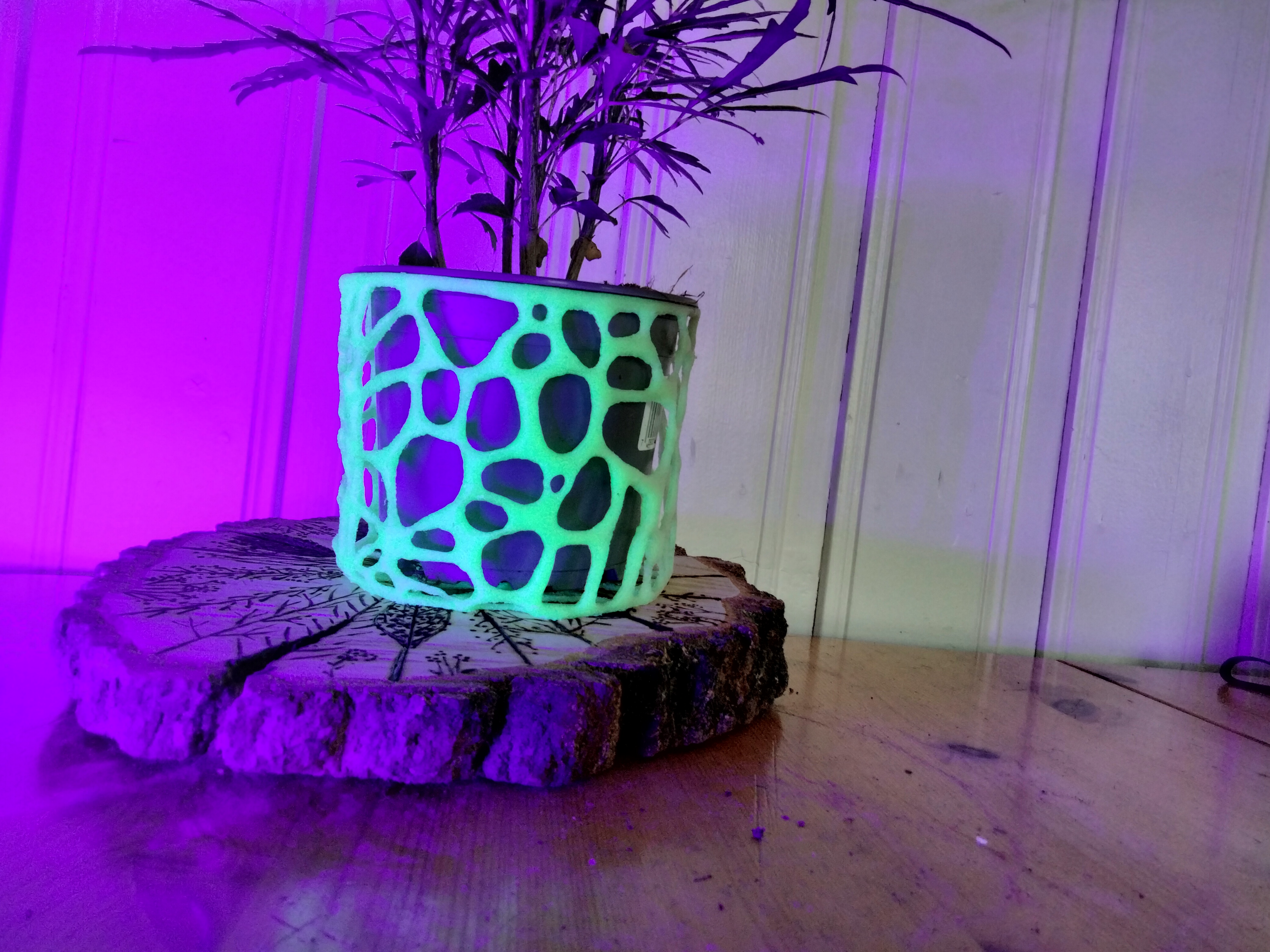 Miniatura 5 do modelo 3D Basic Voronoi Plant Pot