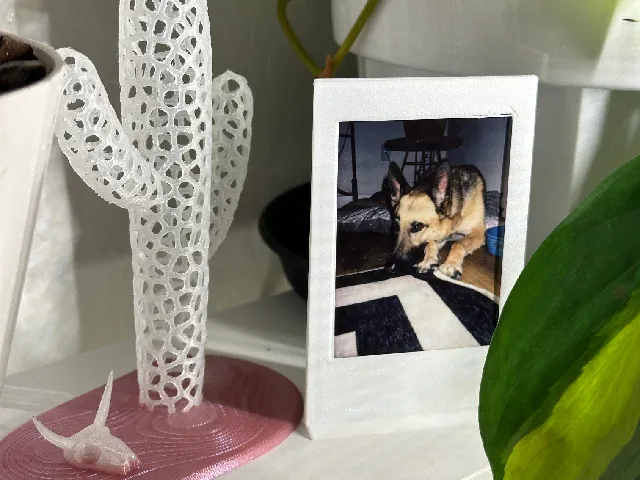 Ultra-minimalist InstaMax Frame