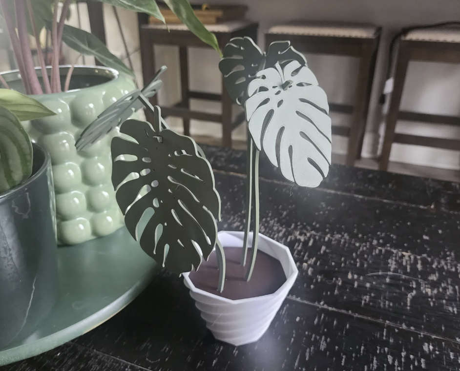 Monstera Coaster Set - remix with leaves separated