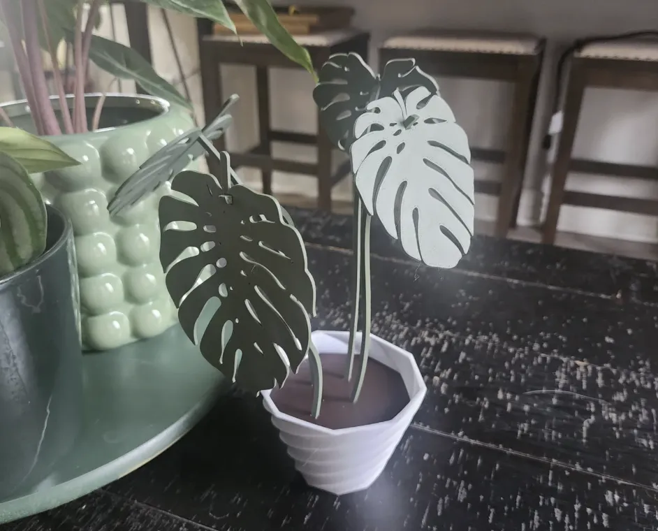alpinia plants alpinia purpurata pink ginger plant main image 0