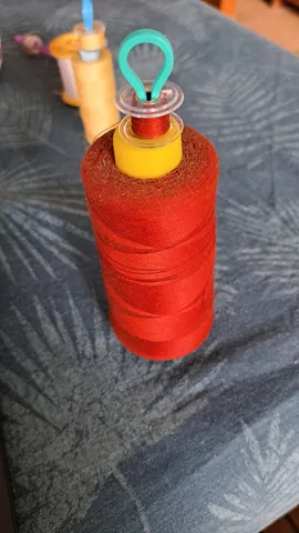 Bobbin thread holder