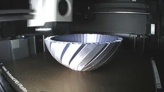 Planter/Vase