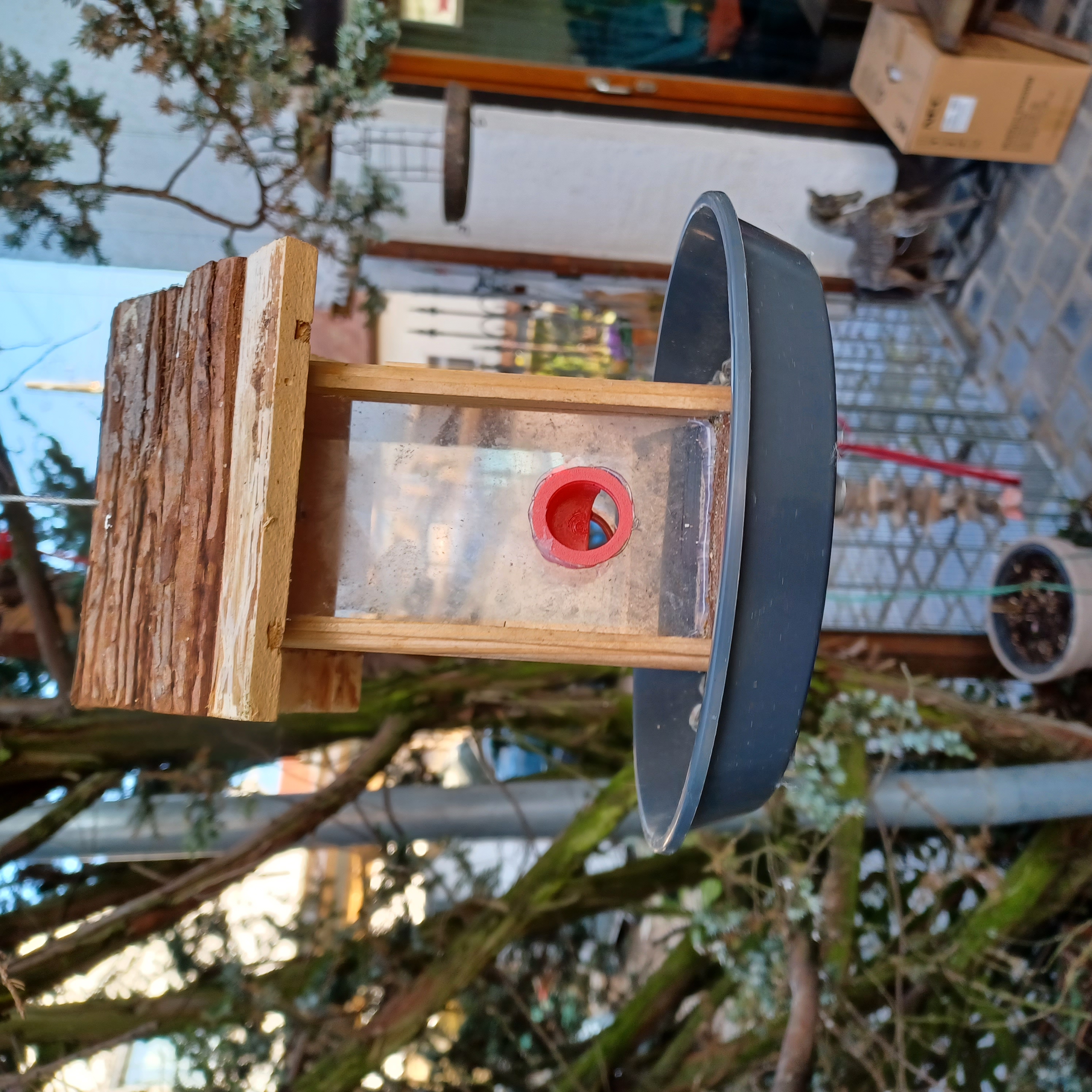 Birdfeeder Cup (Replacement)